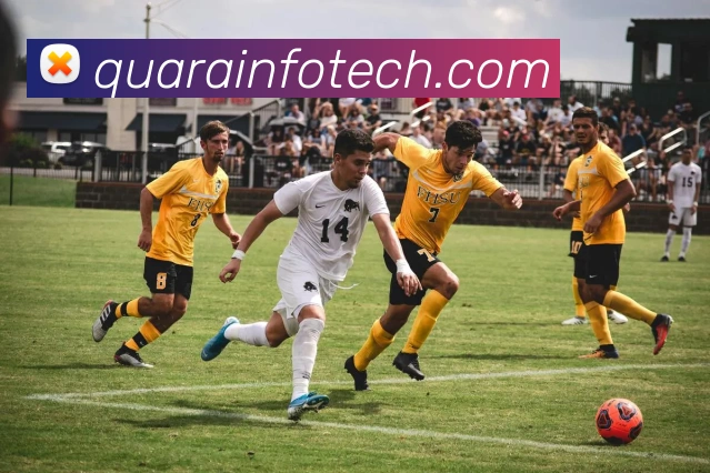 MKSports官方网站入口平台生态图